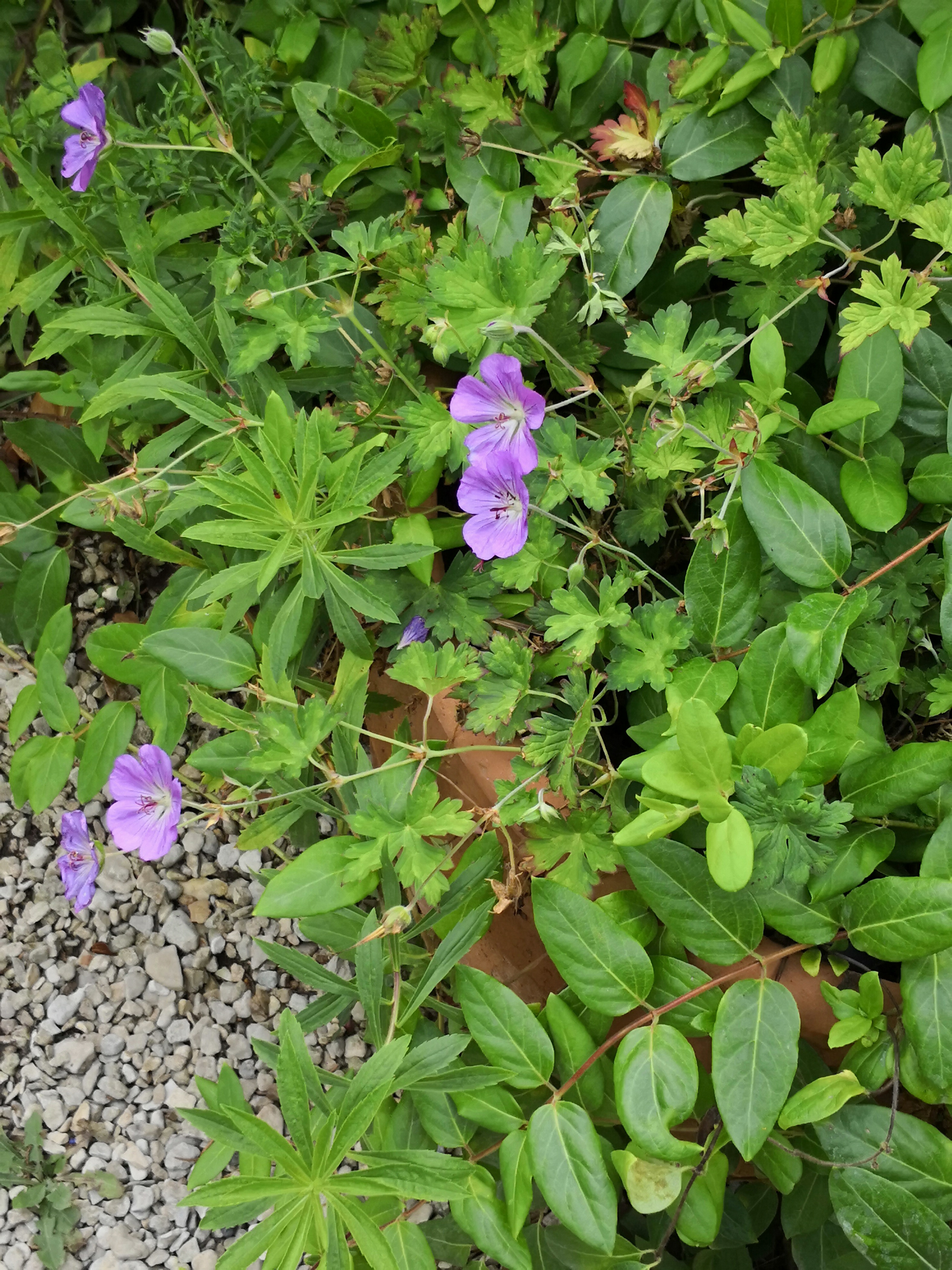 Photo n° 1 de l'avis de Evelyne.a fait le 28/08/2018 à 16:29