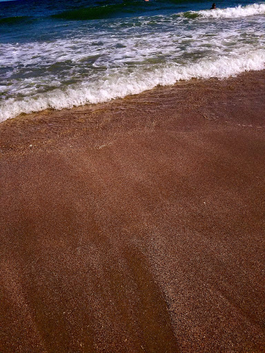 State Park «Myrtle Beach State Park», reviews and photos, 4401 S Kings Hwy, Myrtle Beach, SC 29575, USA