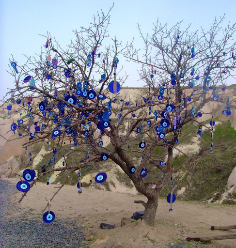 Immigration Attorney «Law Offices of Nassim Arzani», reviews and photos