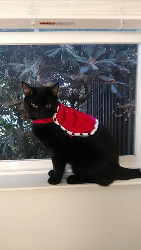 Pet Supply Store «Petco Animal Supplies», reviews and photos, 5481 Lone Tree Way, Brentwood, CA 94513, USA