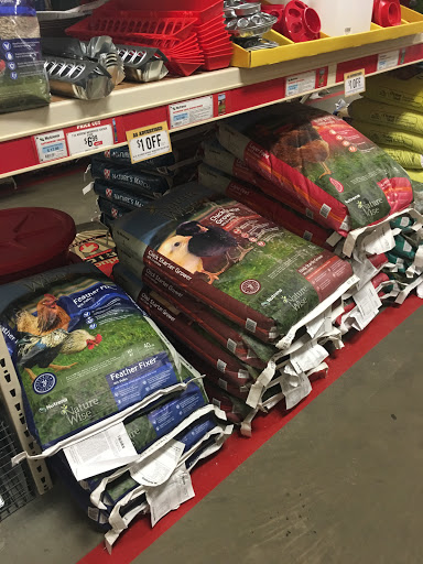 Home Improvement Store «Tractor Supply Co.», reviews and photos, 6885 US-322, Franklin, PA 16323, USA