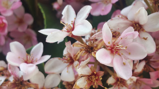 Department Store «Target», reviews and photos, 20200 Bloomfield Ave, Cerritos, CA 90703, USA