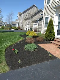 Tampa Landscaping Services LLC - Car repair in , Columbus - Rated 5.0/5