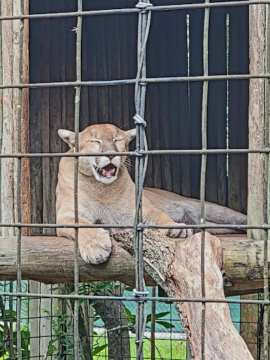 Zoo «Central Florida Zoo & Botanical Gardens», reviews and photos, 3755 NW Hwy 17-92, Sanford, FL 32771, USA