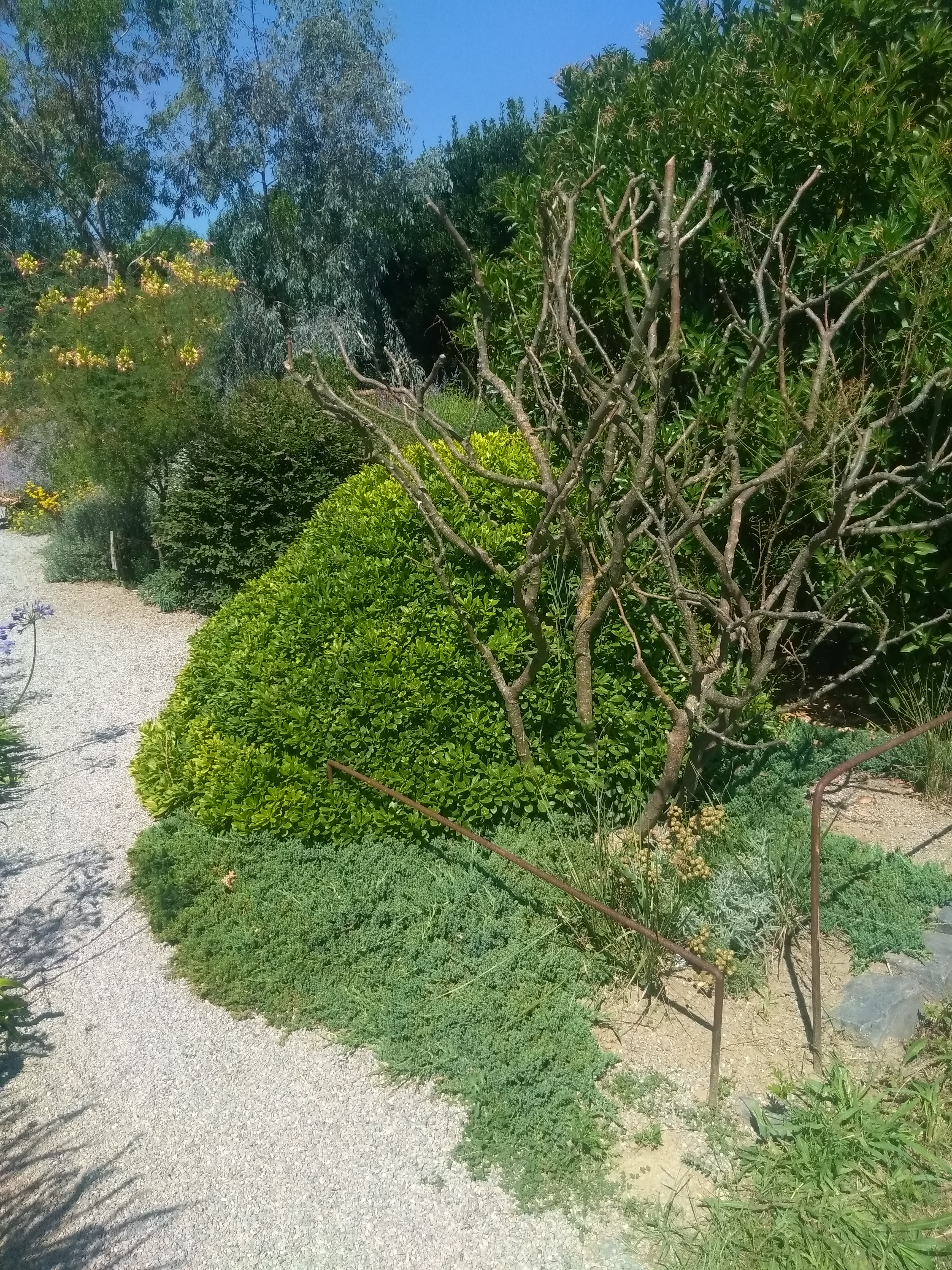 Photo n° 5 de l'avis de Johannes.o fait le 13/07/2019 à 20:02