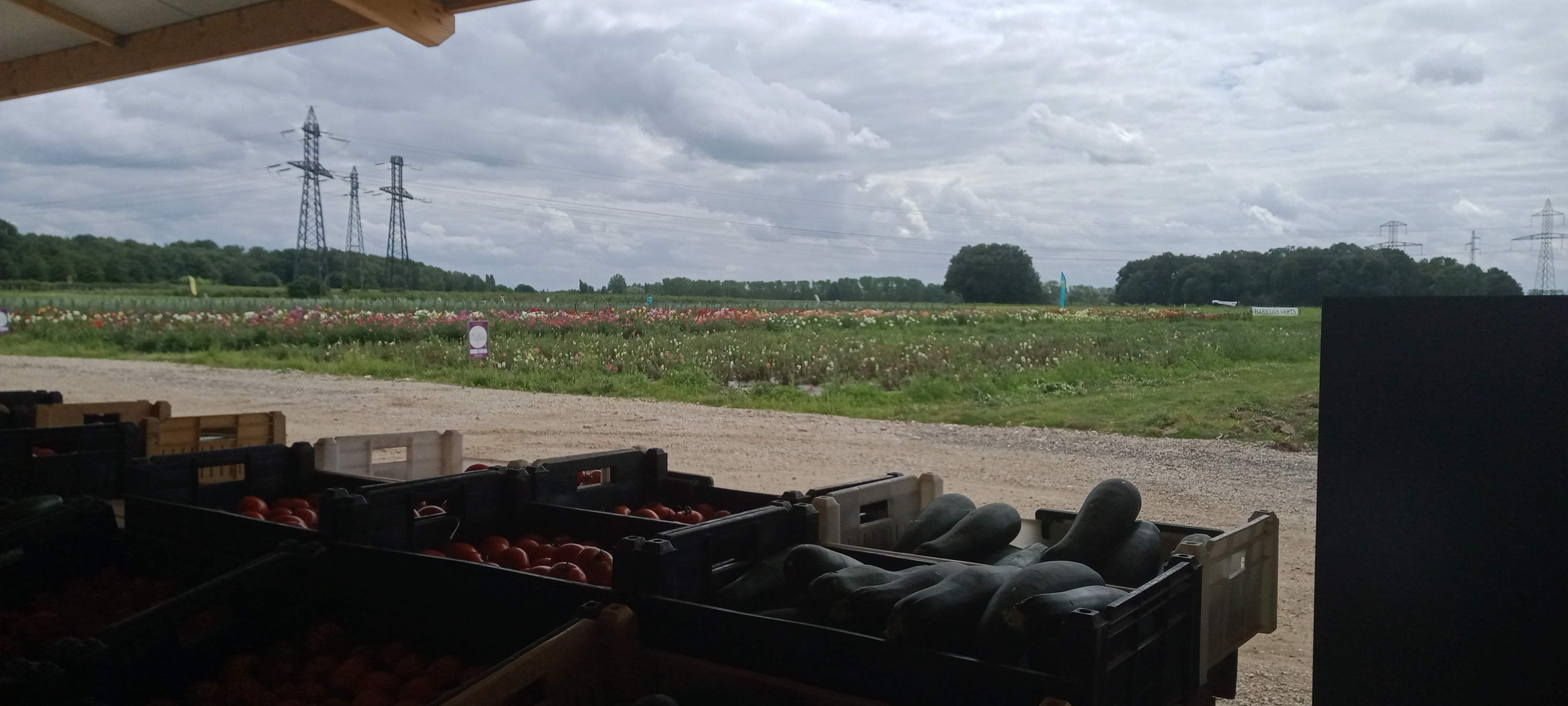 Photo n° 2 de l'avis de Julie.4 fait le 01/08/2021 à 18:05