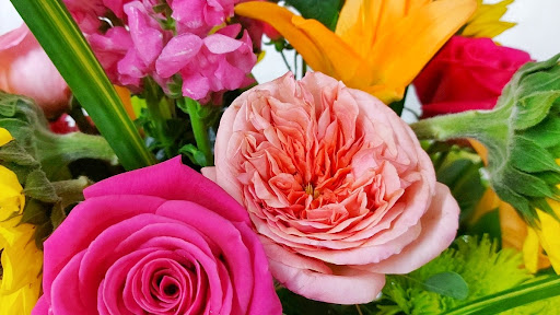 Florist «Gulfport Florist», reviews and photos, 1410 58th St S, Gulfport, FL 33707, USA