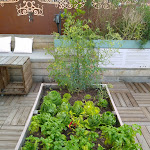 Photo n° 2 de l'avis de Bot.a fait le 27/07/2018 à 10:54 pour Sud Hôtel-Restaurant à Bastia