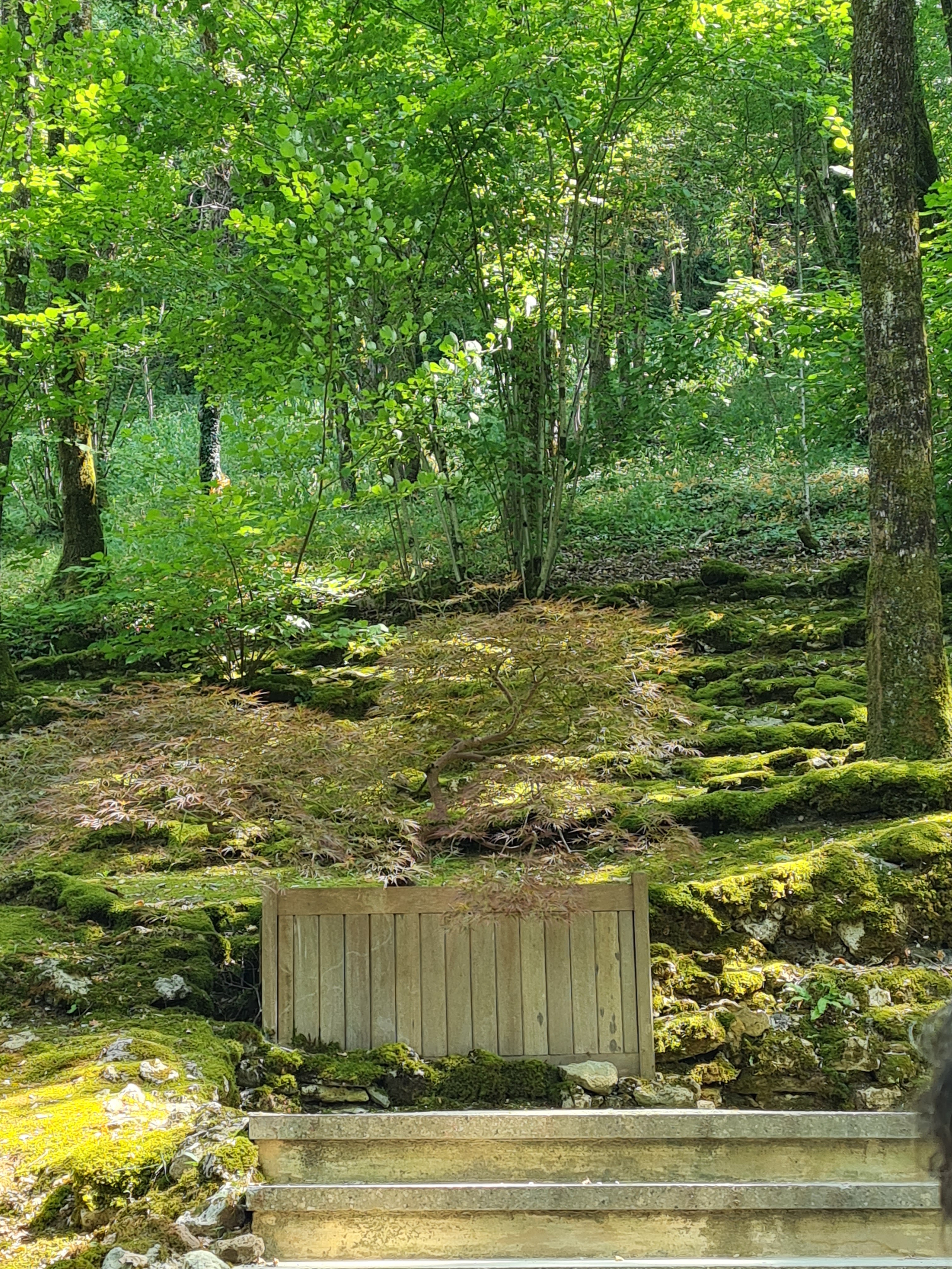 Photo n° 1 de l'avis de Roselyne.a fait le 24/07/2022 à 16:21