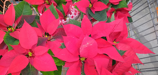 Home Improvement Store «The Home Depot», reviews and photos, 7001 Crestwood Blvd #1300, Birmingham, AL 35210, USA