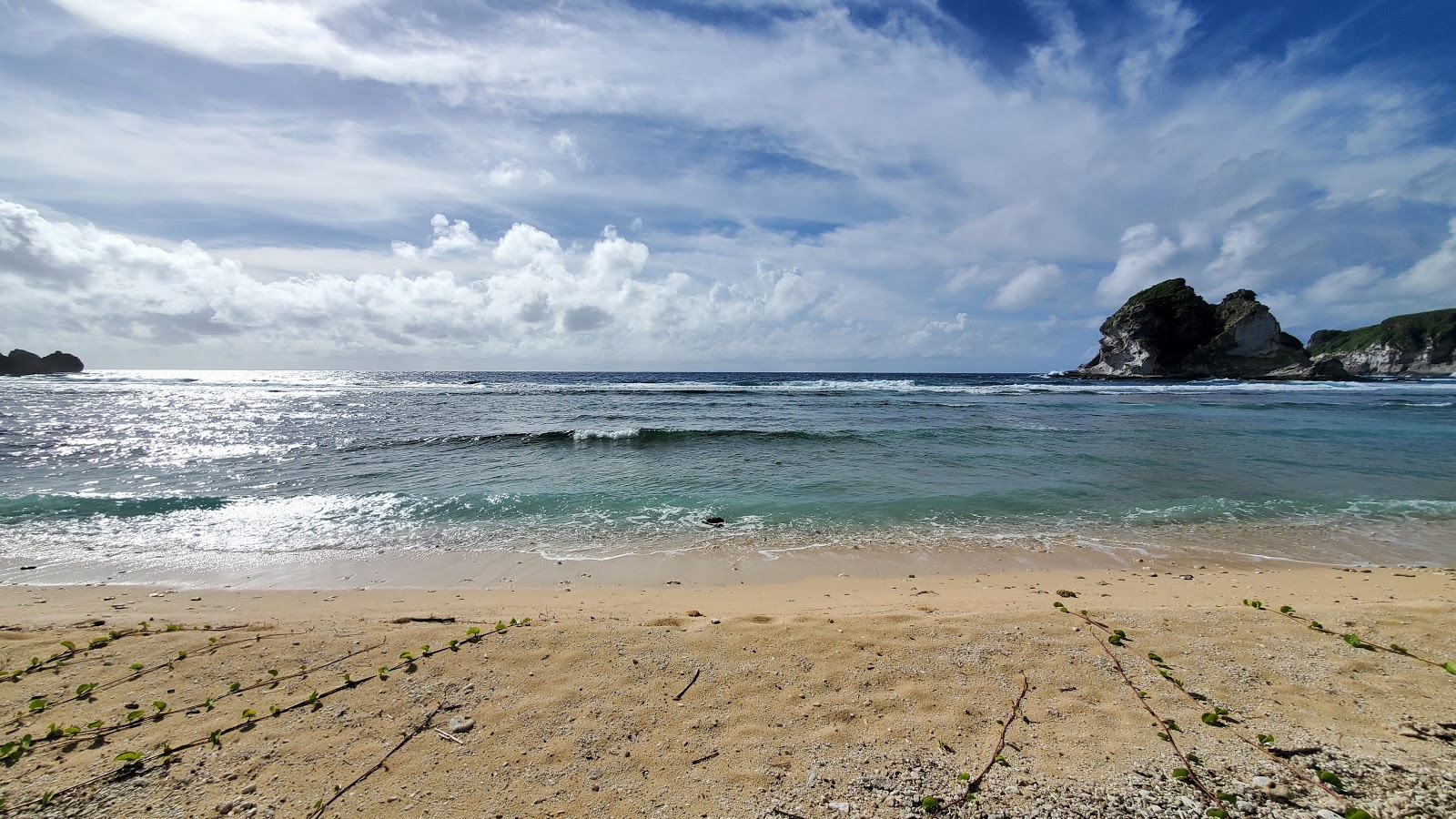 Fotografie cu Bird Island Beach amplasat într-o zonă naturală