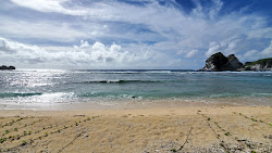Bird Island Beach'in fotoğrafı ve güzel manzarası