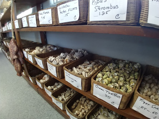 Gift Shop «Sea Shell Shoppe», reviews and photos, 120 N Austin St, Rockport, TX 78382, USA