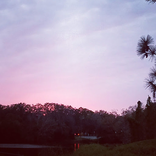 Park «Cliff Stephens Park», reviews and photos, 600 Fairwood Ave, Clearwater, FL 33759, USA