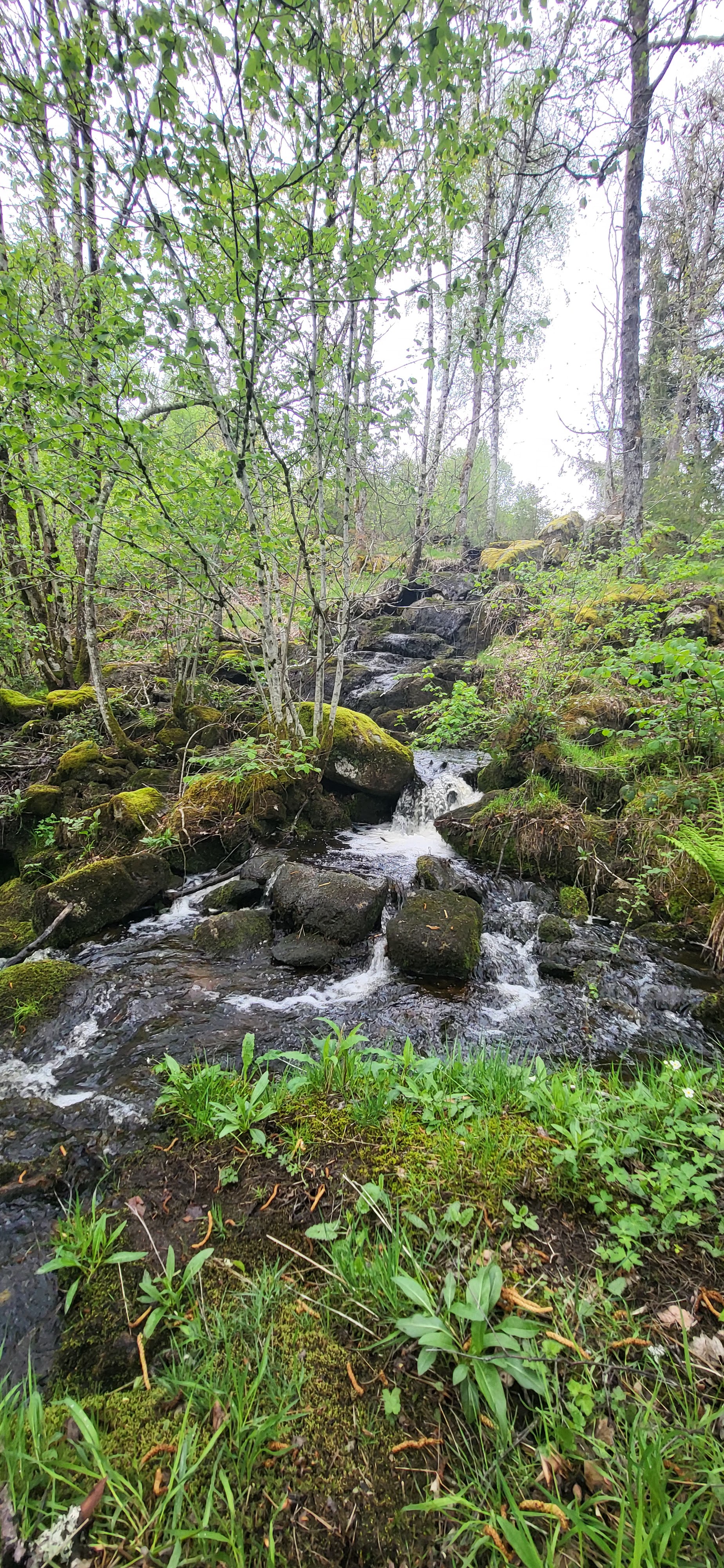 Photo n° 9 de l'avis de Christophe.e fait le 25/05/2023 à 19:09