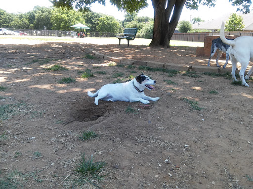 NRH Tipps Canine Hollow Dog Park