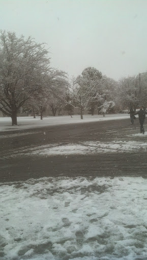 Book Store «Barnes & Noble- New Mexico State University», reviews and photos, 1400 E University Ave, Las Cruces, NM 88001, USA