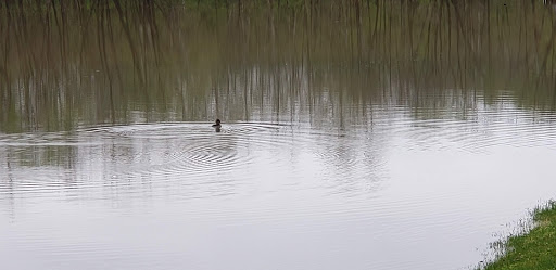 Golf Course «The Valley Links Course», reviews and photos, 8670 IN-56, French Lick, IN 47432, USA