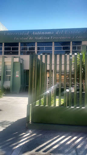 Veterinario Toluca