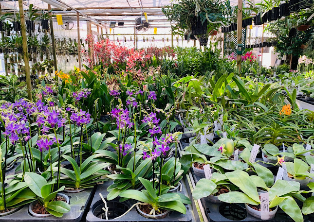 Orchidable - Gartenbauer