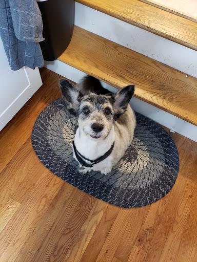 Pet Supply Store «Petco Animal Supplies», reviews and photos, 20 Stockwell Dr, Avon, MA 02322, USA