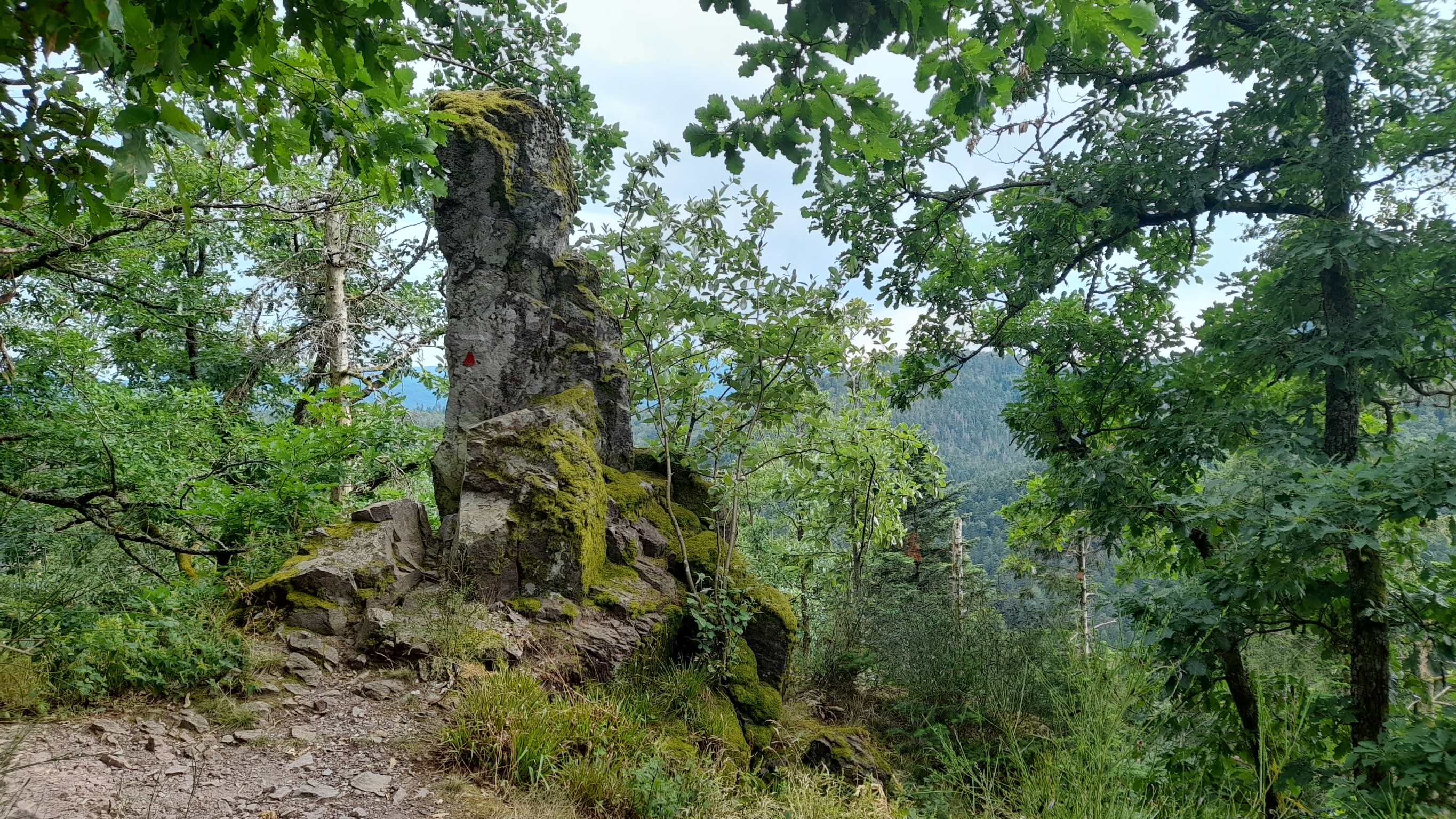 Photo n° 29 de l'avis de Kris.c fait le 20/07/2022 à 13:28