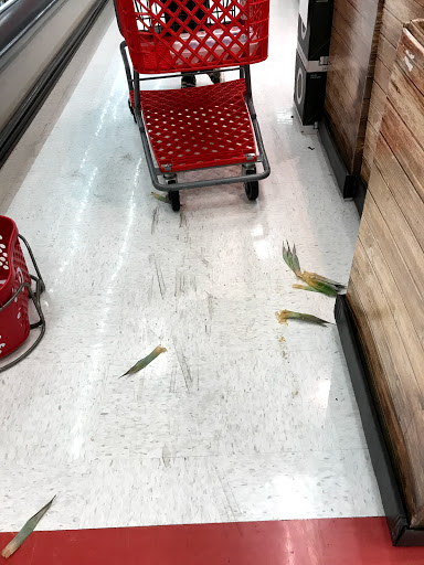 Department Store «Target», reviews and photos, 2575 Enterprise Rd, Orange City, FL 32763, USA