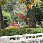 Photo n°1 de l'avis de Simona.l fait le 29/10/2019 à 21:44 sur le  Trattoria Laila à Pioraco