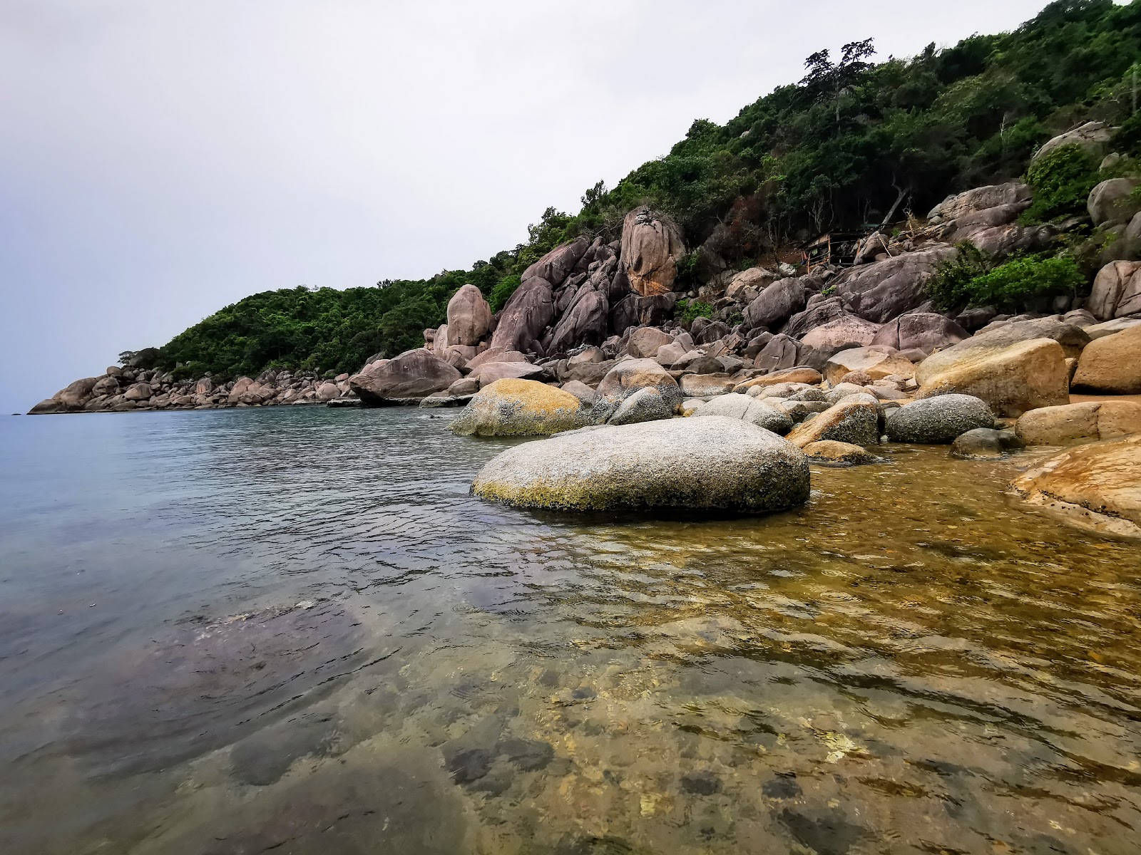 Mao Bay Beach'in fotoğrafı vahşi alan