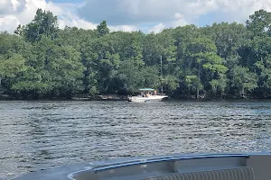 Log Landing Wildlife Management Area image