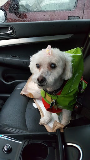 Pet Supply Store «PetSmart», reviews and photos, 901 US-1, North Brunswick Township, NJ 08902, USA