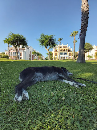 Extérieur Holiday apartment Aptos Atlanterra Playa 11393 Tarifa