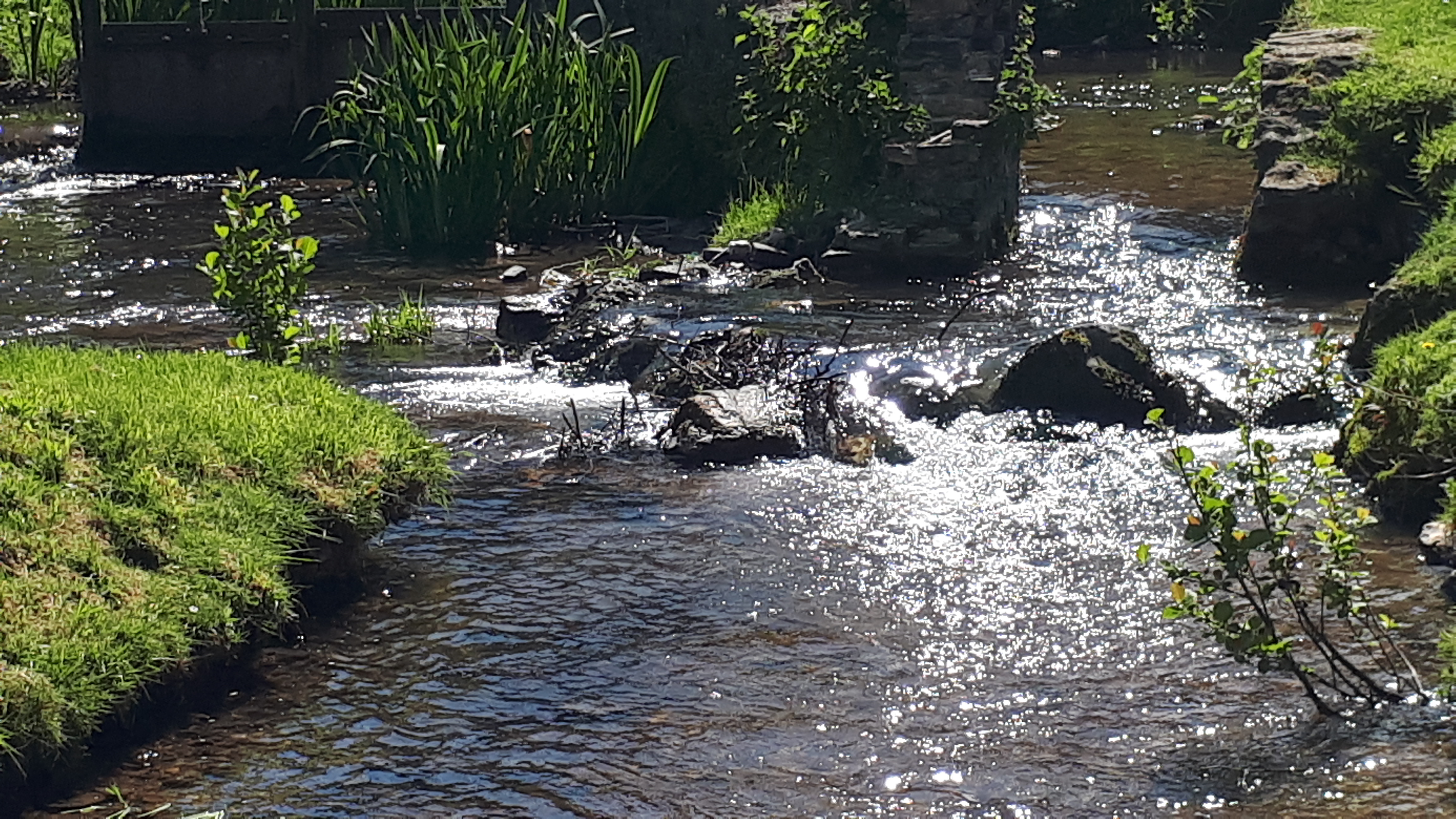 Photo n° 1 de l'avis de Frederic.e fait le 12/05/2019 à 10:55