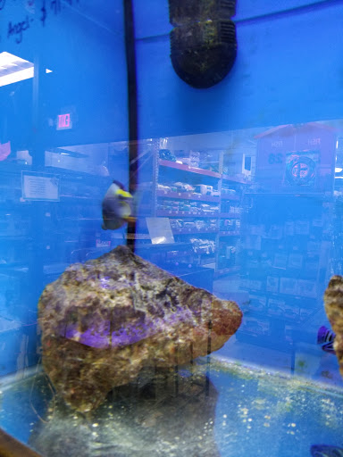 Pet Store «Pet Goods», reviews and photos, 1125 Central Park Ave, Scarsdale, NY 10583, USA