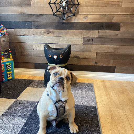 Insurance Agency «Farmers Insurance - Mike Schmisek», reviews and photos