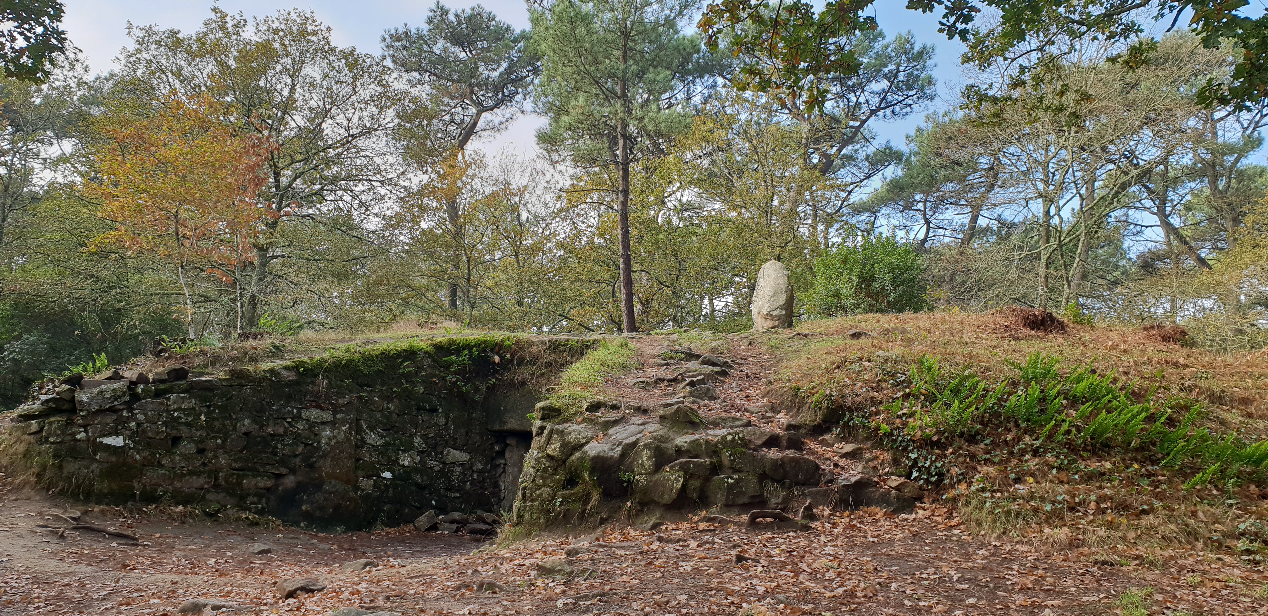 Photo n° 1 de l'avis de Enora.O fait le 25/11/2018 à 16:48