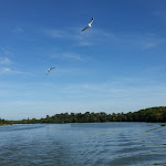 Photo n° 10 de l'avis de Tony.o fait le 18/10/2017 à 13:18 pour Bateaux Nantais à Nantes