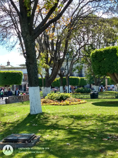 Jardín de Las Rosas