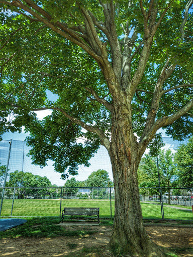 Memorial Park «New Hyde Park Memorial Park», reviews and photos, 1351-1399 Lincoln Ave, New Hyde Park, NY 11040, USA