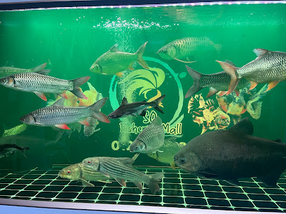 SQ Fisheries Mall