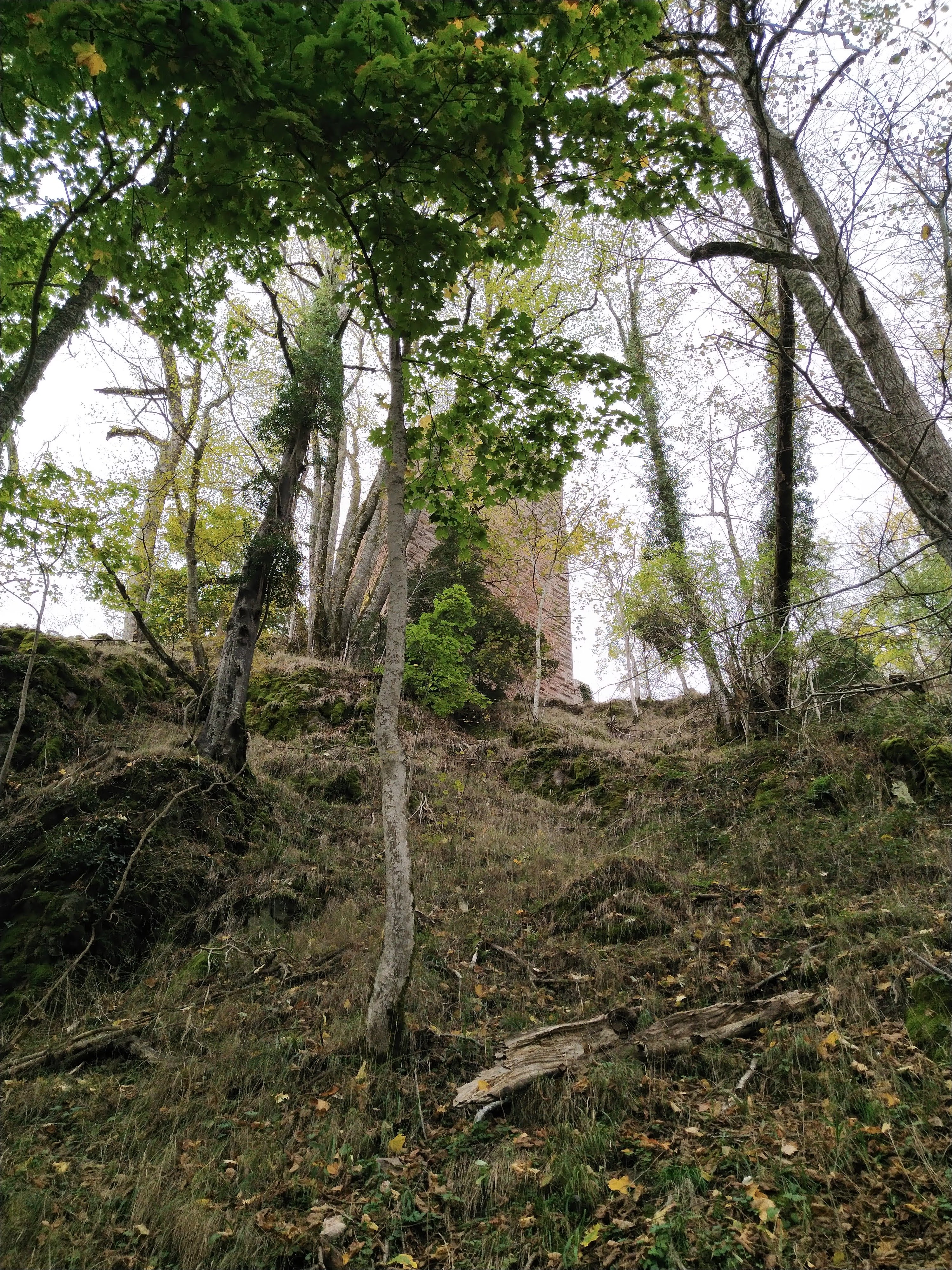 Photo n° 5 de l'avis de lydia.i fait le 25/10/2022 à 20:51