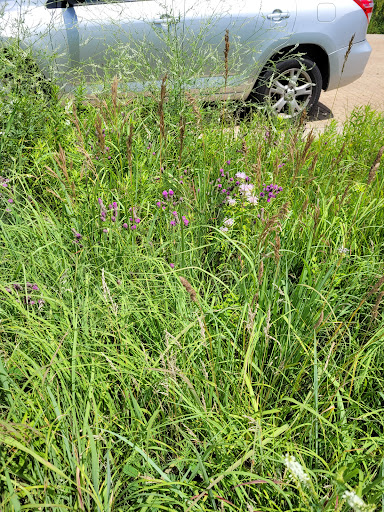 Nature Preserve «Indian Creek Nature Center», reviews and photos, 5300 Otis Rd, Cedar Rapids, IA 52403, USA