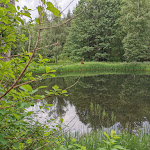 Photo n°8 de l'avis de Andrea.c fait le 04/07/2021 à 09:13 sur le  Waldcafe Forellenteich à Braunlage