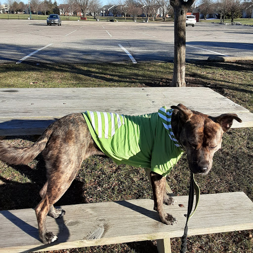 Memorial Park «Roy G. Holland Memorial Park», reviews and photos, 1 Park Dr, Fishers, IN 46038, USA