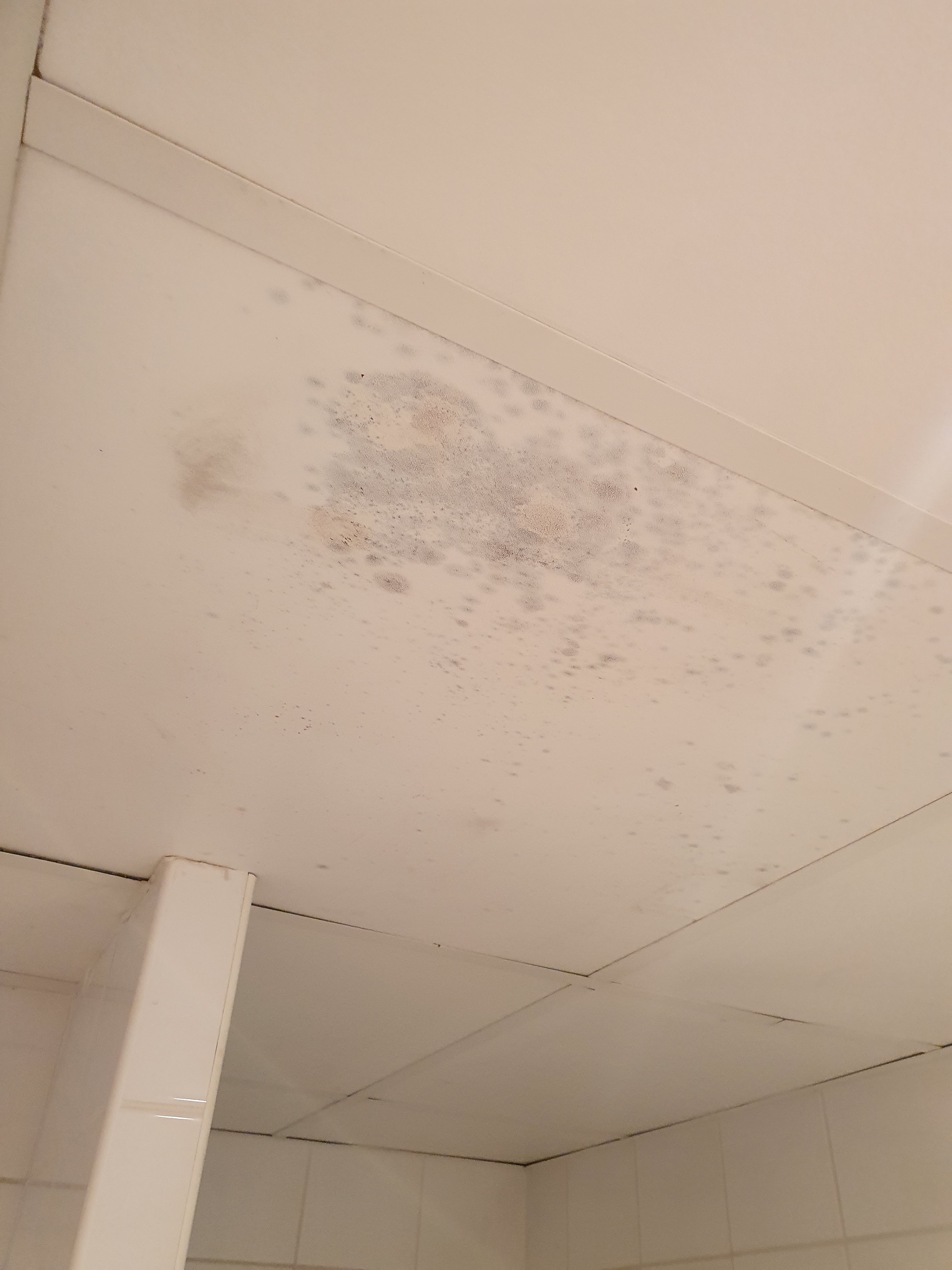 Photo n° 5 de l'avis de Maxime.u fait le 15/08/2020 à 10:25