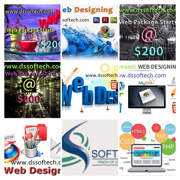 Dssoftech web design company