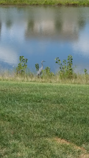 Park «Dr. James A. Dillon Park», reviews and photos, 6001 Edenshall Ln, Noblesville, IN 46060, USA