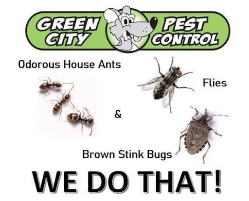 Green City Pest Control Seattle
