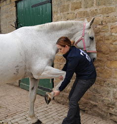 Stable Gait Veterinary Physiotherapy