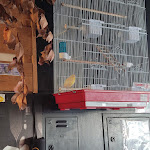 Photo n°3 de l'avis de Carlos.e fait le 15/05/2022 à 17:07 sur le  Trigo de Cantos - Amarante Tavern à Porto